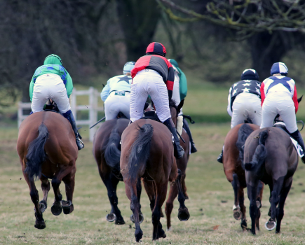Horses competing in a point to point race