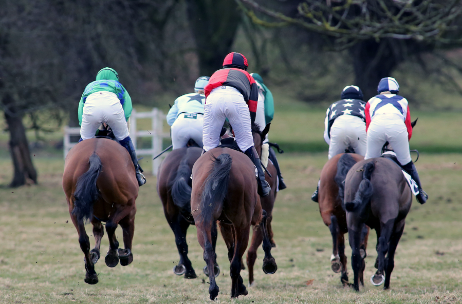 Horses competing in a point to point race