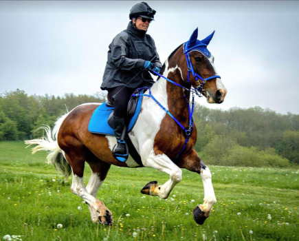 Lady in black raincoat rides a brown and white horse wearing a blue bridle