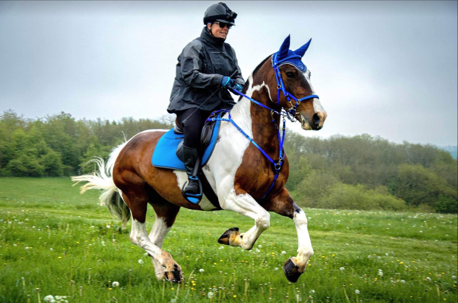 Lady in black raincoat rides a brown and white horse wearing a blue bridle