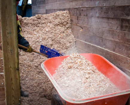 Shavings is a popular type of bedding for horses as it is absorbent and usually dust free