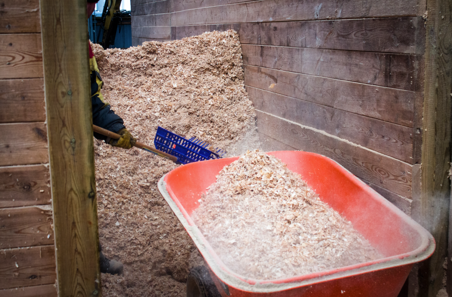 Shavings is a popular type of bedding for horses as it is absorbent and usually dust free