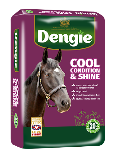 Dengie Cool Condition and Shine feed bag
