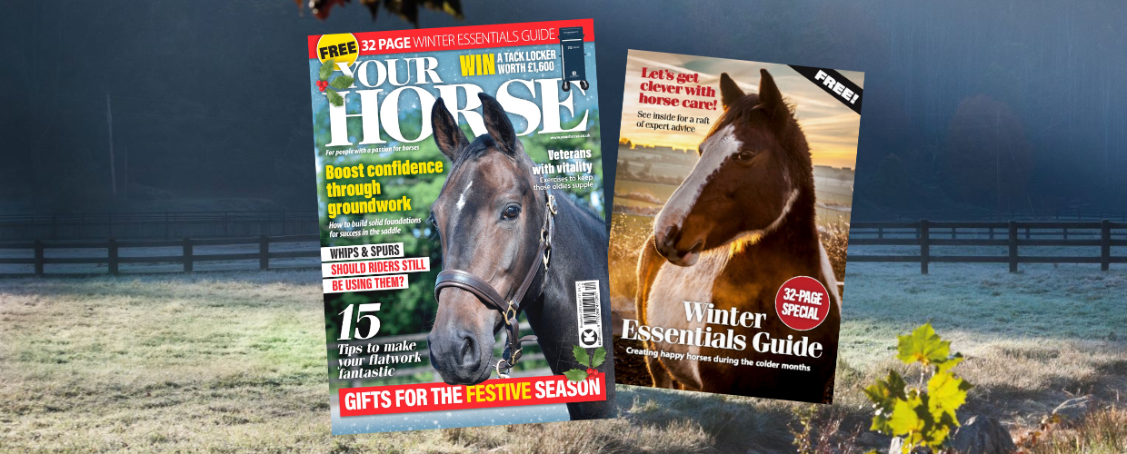The December 2023 issue of Your Horse includes a Winter Essentials Guide