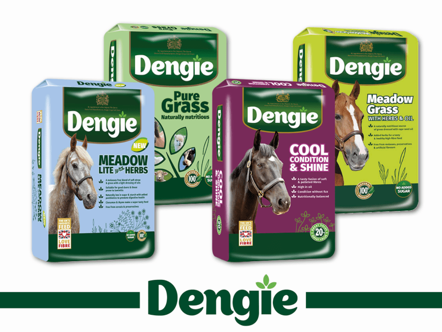 Dengie’s range of fibre feeds, both short chopped and soaked, are all sympathetic to the horse’s digestive system