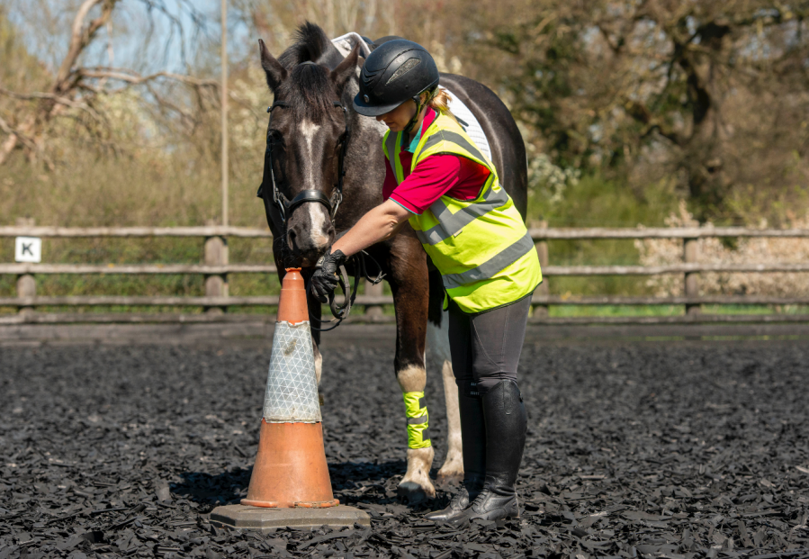 Rewarding a horse with food for touching an item they are unsure of, in this case a traffic cone, builds confidence