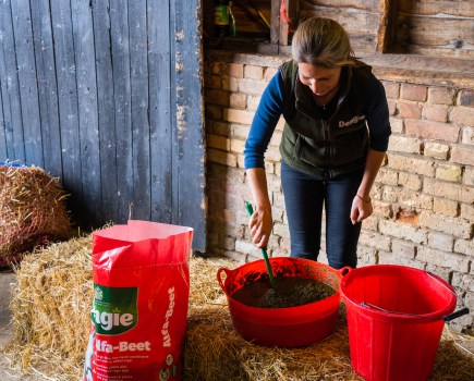 Feeding a mash is a good option for horses and ponies who struggle to chew