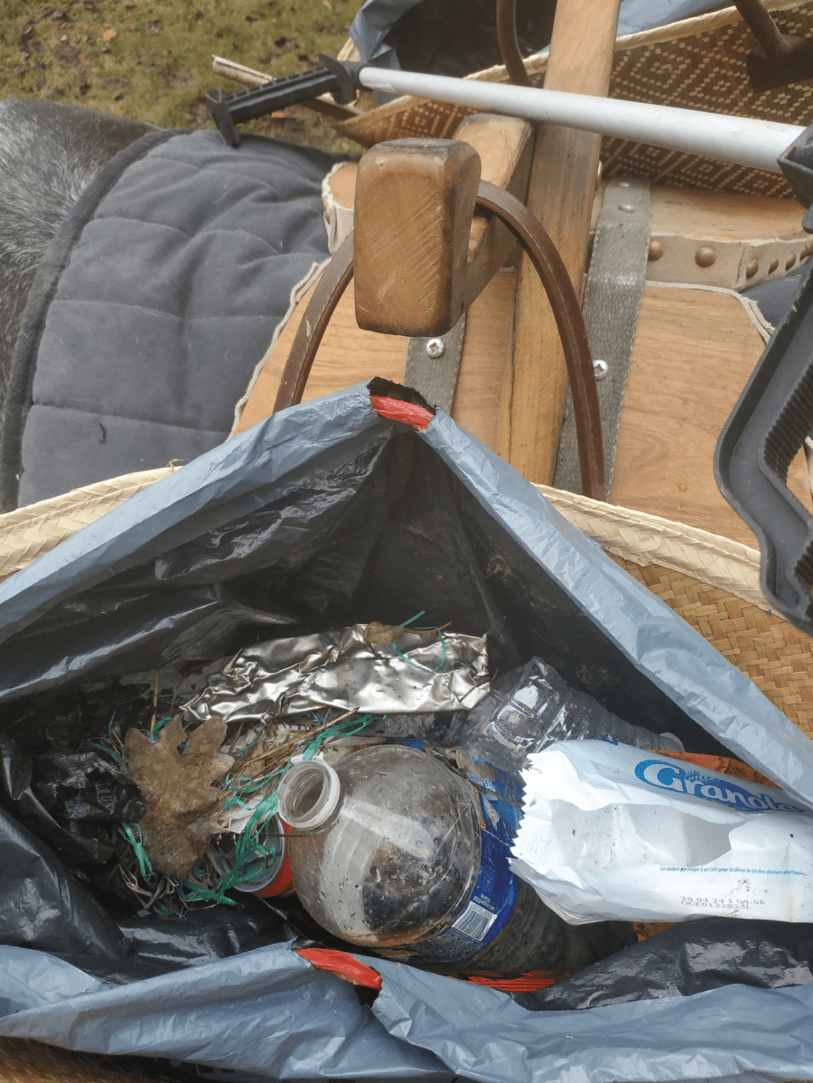 Image of a bag of litter hanging on a small Shetland pony saddle