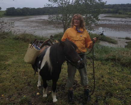 Shetland pony Ted wearing his litter-picking saddle with his owner Karen