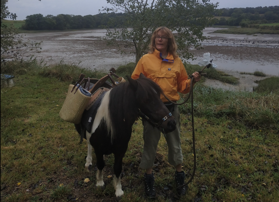 Shetland pony Ted wearing his litter-picking saddle with his owner Karen