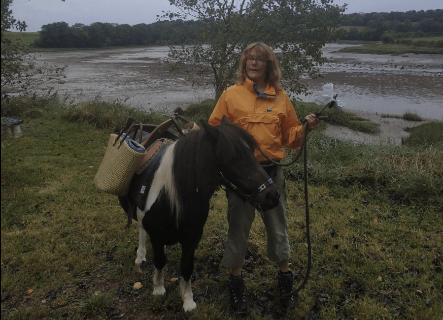 Shetland pony Ted wearing his litter-picking saddle with his owner Karen