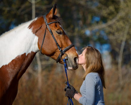 Pictured is a lady kissing a skewbald horse on the nose: the horse looks happy with their ears pricked because the owner knows how to take care of them