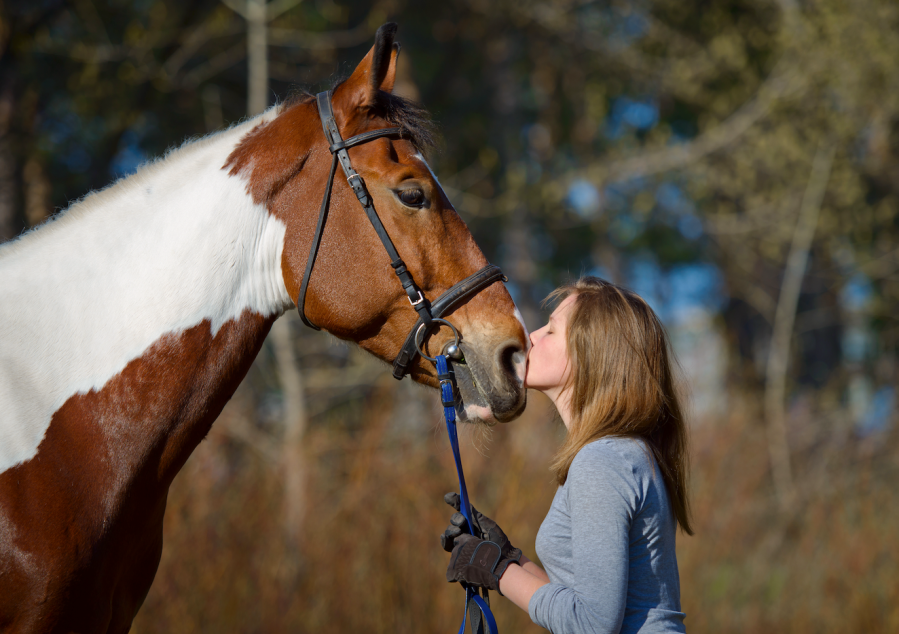Pictured is a lady kissing a skewbald horse on the nose: the horse looks happy with their ears pricked because the owner knows how to take care of them