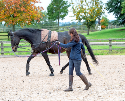 Pictured is a lady lunging a horse in an outdoor arena