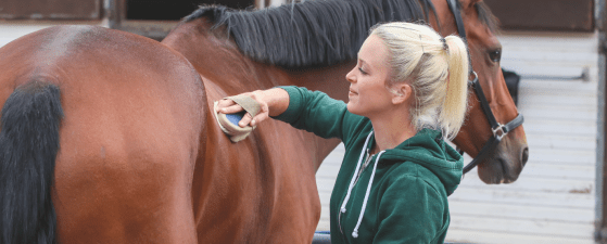 Pictured is a blonde lady grooming a bay horse with a body brush. Every horse owner should own a well stocked grooming kit