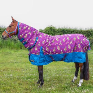StormX Original 200 Combi Turnout Rug Thelwell Collection