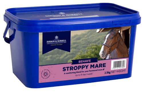 Dodson & Horrell Stroppy Mare