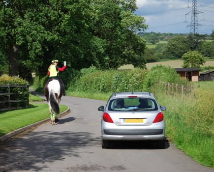Horse riding on the road