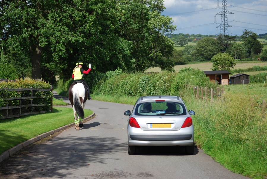 Horse riding on the road