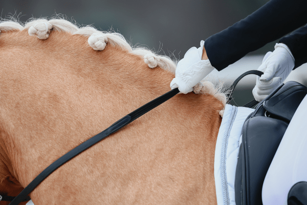 Pictured is a close up of a palomino's neck with plaited white mane in a dressage test with a good topline not poor topline