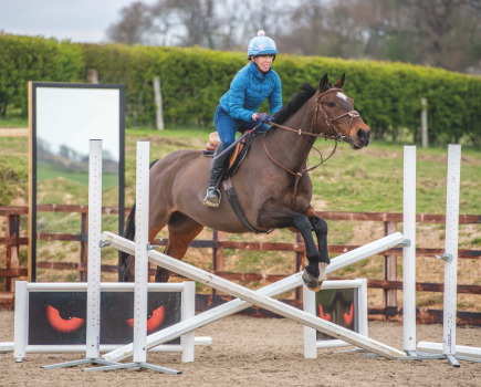 It’s not necessarily about using a ‘stronger’ bit when you're riding a strong horse, but one that makes use of different pressure points in different ways