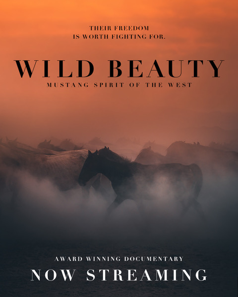 Poster of the film Wild Beauty