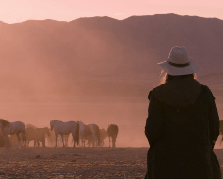 Wild Beauty follows herds of wild horses being rounded up by the US government