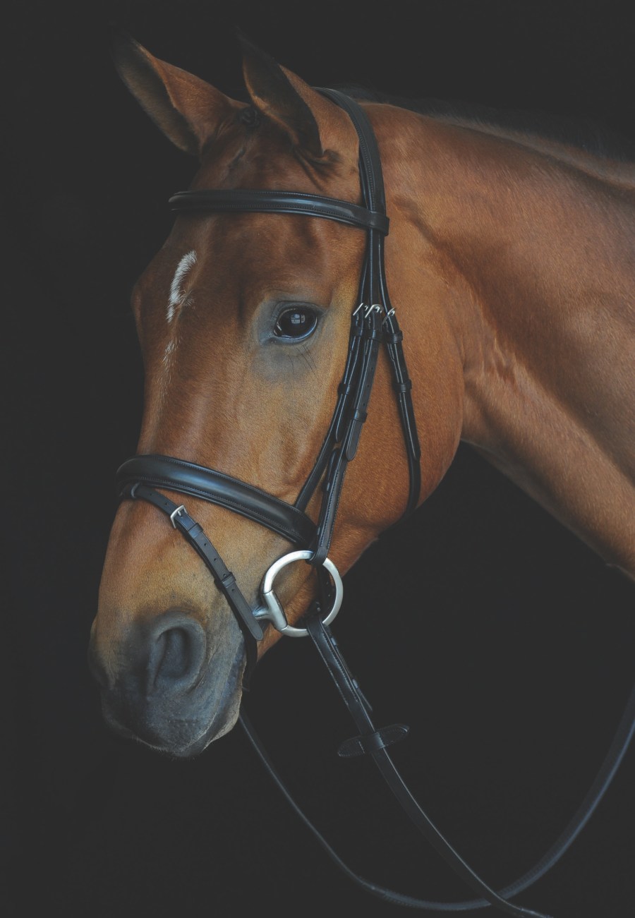 Collegiate Comfort Crown Padded Raised Flash Bridle