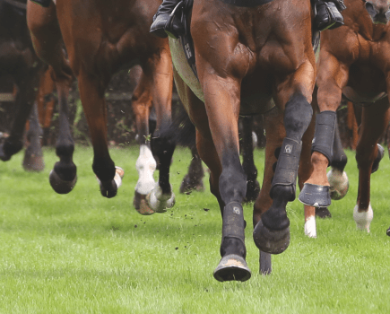 Racehorses and competition horses are particularly vulnerable to sesamoiditis as they often place extreme pressure or stress on the sesamoid bones during exercise