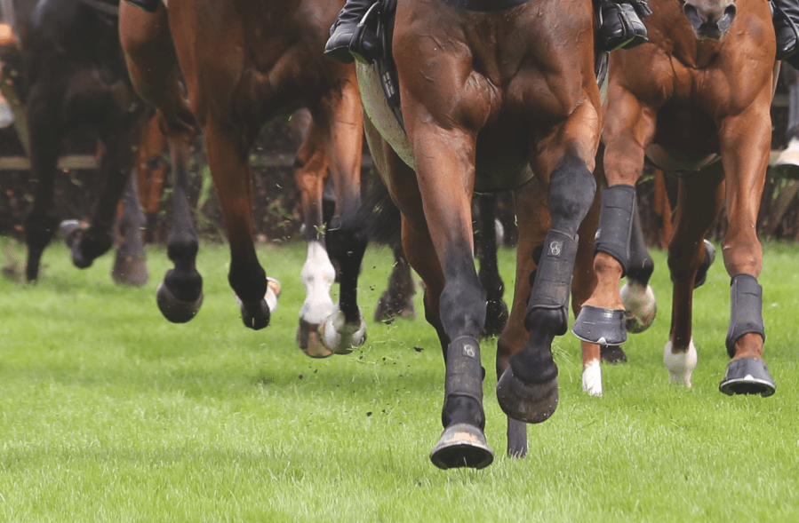 Racehorses and competition horses are particularly vulnerable to sesamoiditis as they often place extreme pressure or stress on the sesamoid bones during exercise