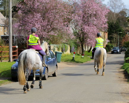 The number of road incidents involving horses remains high, with more than one horse dying on the road every week in the UK in 2023