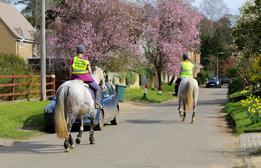 The number of road incidents involving horses remains high, with more than one horse dying on the road every week in the UK in 2023