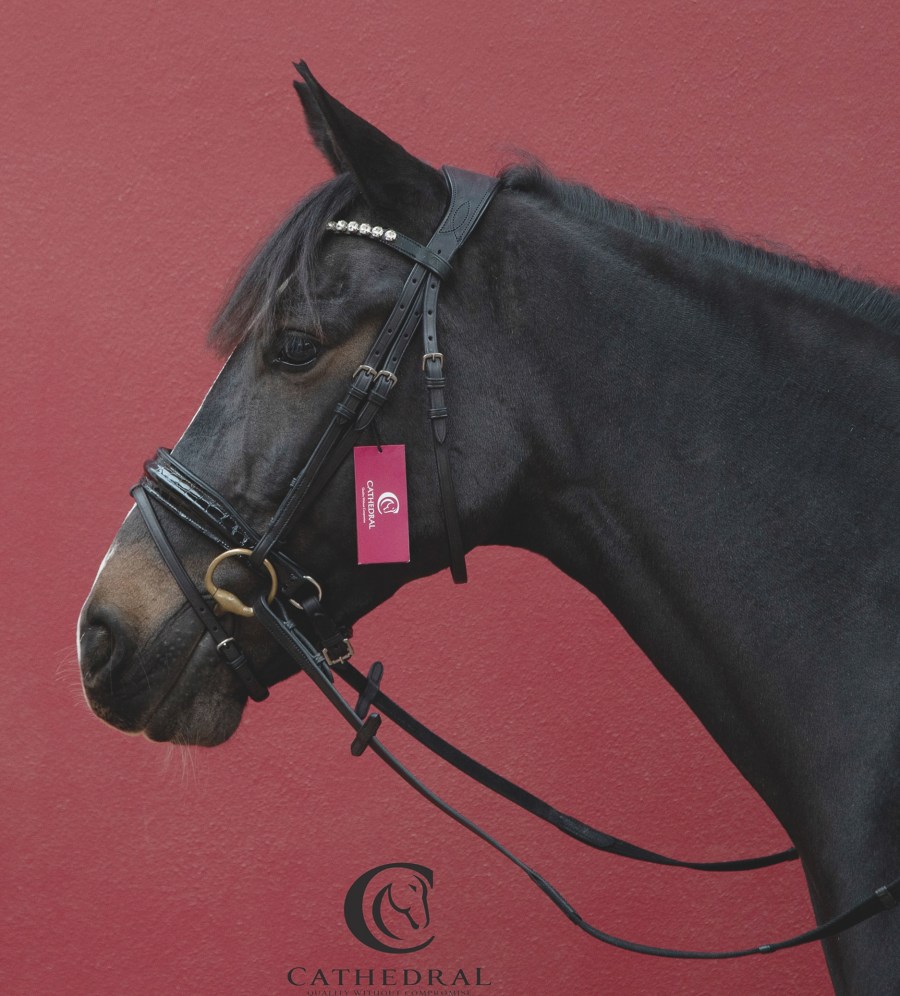 Cathedral Equine Ludford Snaffle Bridle