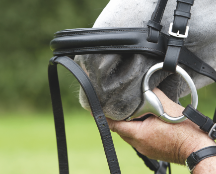 Choosing the correct horse bit is easier when you know what will best fit your horse and you understand what the different types of bits do