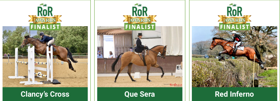 Ex-racehorses Clancy's Cross, Que Sera and Red Inferno are finalists for the RoR Horse of the Year Award 2024