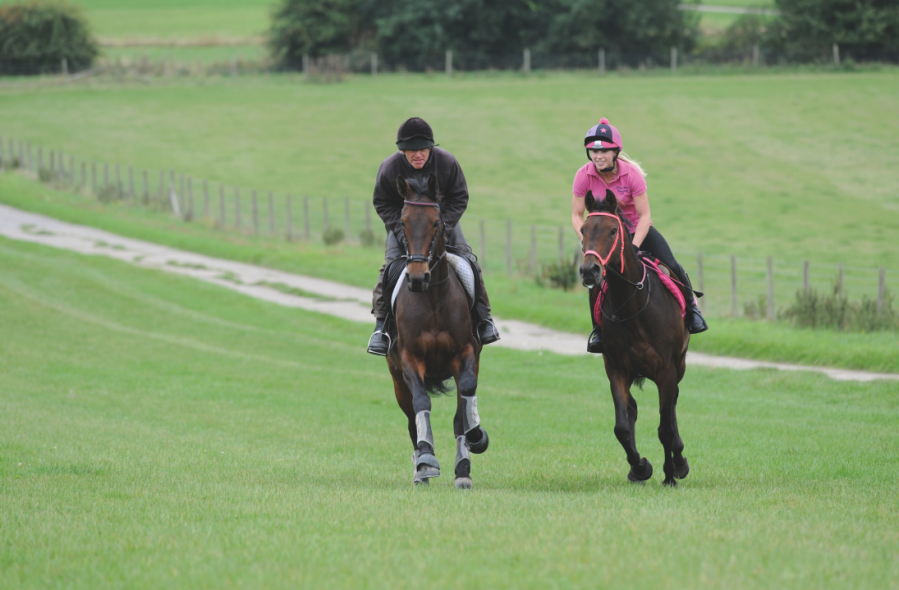 Two horses are pictured cantering in a field in bitless bridles