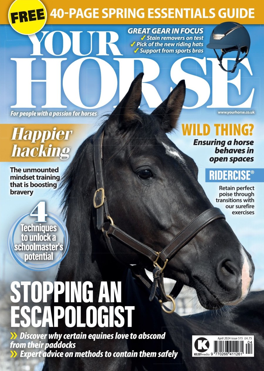 Your Horse Magazine's April cover featuring a black horse