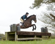 Bay horse and rider jumping over a cross country jump. The horse is wearing a breastplate.