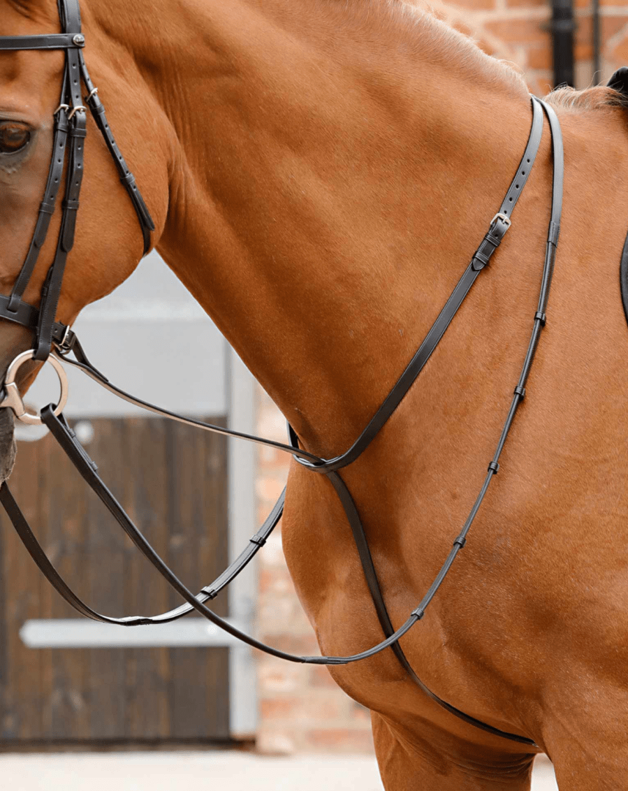 Gressan standing martingale