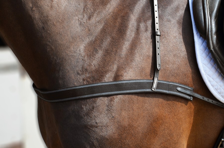 Pictured is the Hy Equestrian Elastic Breastgirth