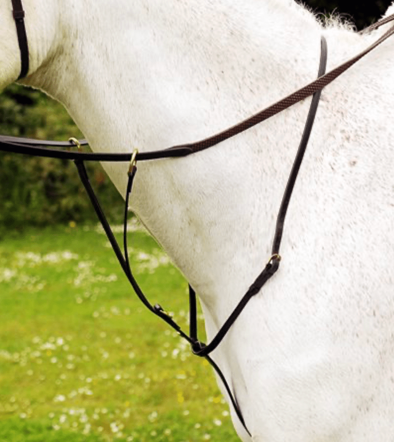 Kate Negus running martingale