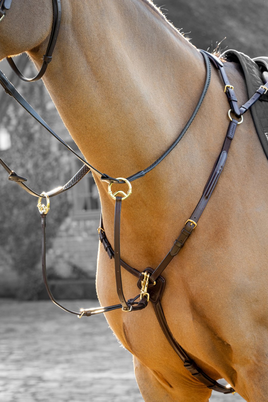 Le Mieux Breastplate with D-Ring Attachment
