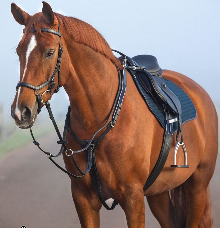 Horseware Micklem Breastplate