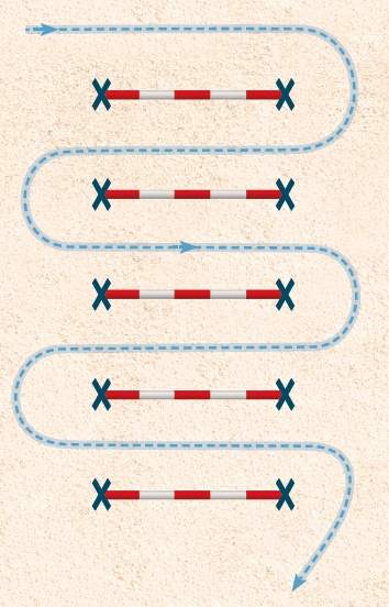 Diagram shows Piggy March's first training exercise trotting around and in and out of a line of poles