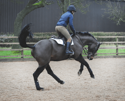 Pictured is a fresh, tense horse having a buck while being ridden