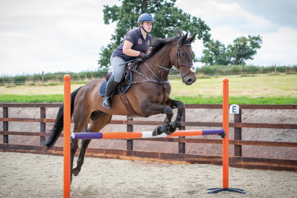 Image shows a horse and rider jumping an upright showjump from trot as part of Piggy March's training exercises