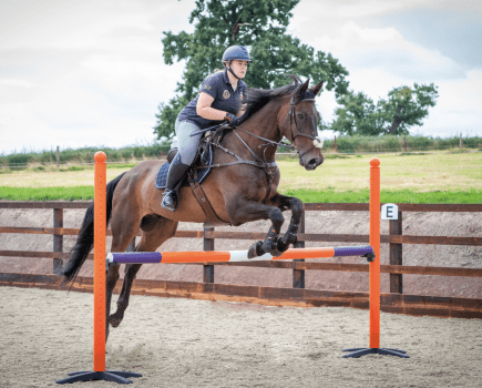 Image shows a horse and rider jumping an upright showjump from trot as part of Piggy March's training exercises