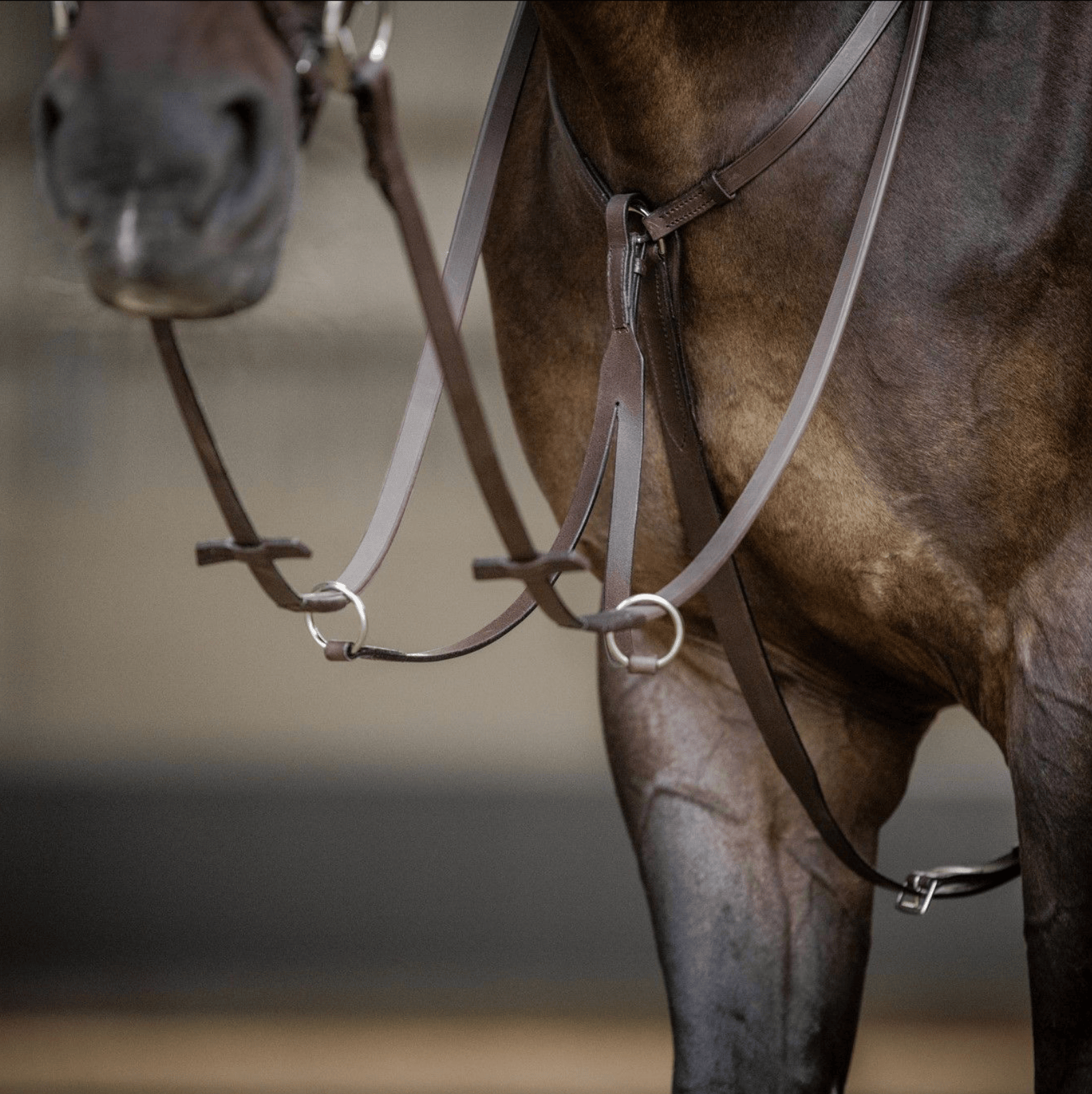 Elico Rubber Rein Stops & Martingale Ring Set – Black Or Brown – Perfect For Horse Or Pony Tack