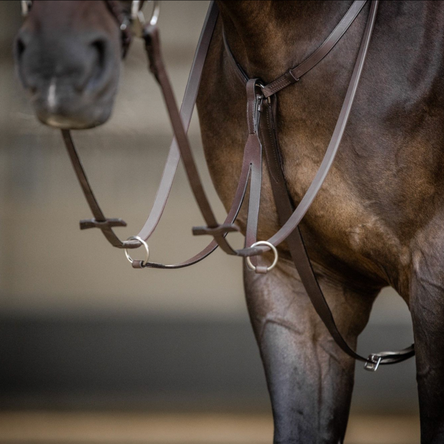 Stübben running martingale