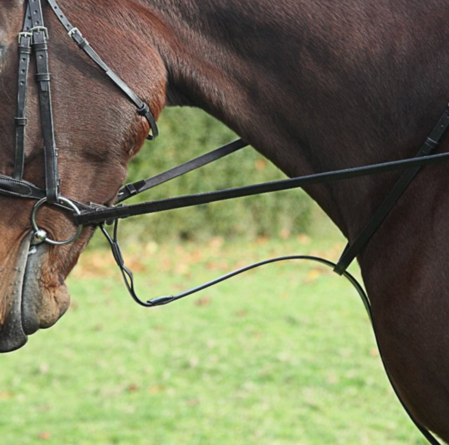 Townfields elastic standing martingale